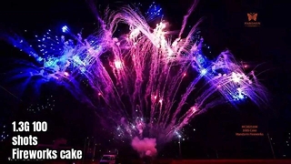 Liuyang 100 Shot Professionele Display Vuurwerktaart 1.3G UN0335 pyrotechniek