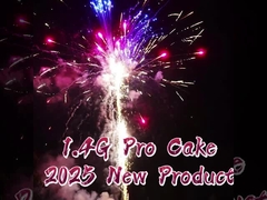 2025 Vuurwerk 1.4 Pro Cake Vuurwerk 200 Schoten Nieuw Item Cake Mandarijn Pyrotechniek