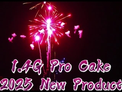 1.4G Outdoor 300 Shots Cake Fireworks Sky Shot Fireworks Fireworks Crackers Kerstmis Pyro Fireworks Voor S