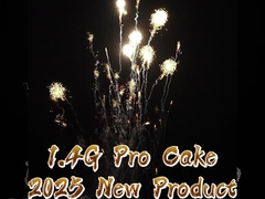 Chinees 210 Shots 1000g Cake FIreworks US 1.4 Pro Op maat gemaakt Outdoor vuurwerk
