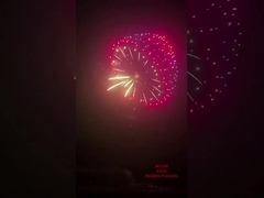 Fabriek Liuyang Mandarijn Pyrotechniek Display Schelpen Vuurwerk 6 Inch Professionele Schelpen Vuurwerk