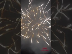 Professionele schermen Vuurwerk Mortier Artillerie Schelpen Pyrotechnische benodigdheden 6 inch schermen Schelpen