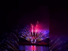 Chinese fabriek Pyrotechniek Groothandel Professionele display vuurwerk 1.3g Cake vuurwerk 2024