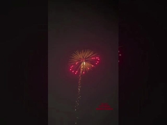 1.3g Pyrotechniek Vuurwerk Artillerie Saluut Shell Canister 4 inch Display Shells Vuurwerk