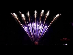 Liuyang Professionele Chinese vuurwerk Pyrotechniek 78 schoten 1.3g Cake vuurwerk