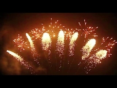 Mandarin Vuurwerkpyrotechniek 65 Schotenventilator Gevormd Vuurwerk