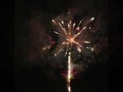 Pyrotechniek van het de Cakevuurwerk van Liuyang de Speciale Gevolgen Professionele 100 Schoten