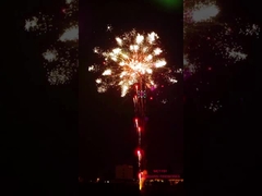 Het Vuurwerk van de Liuyangpyrotechniek 196 het Vuurwerk Speciale Gevolgen van de Schoten Professionele Cake toont