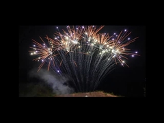 Mandarin 1.3g Pyrotechniek 13 Vuurwerk van de Schoten Professioneel Enig Rij