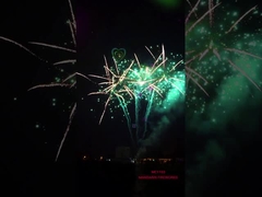 Chinees Groot Professioneel de Gelegenheidsvuurwerk van de Vertoningscake 256 Schoten voor Halloween