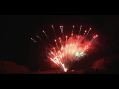 Chinese pyrotechniek op maat professionele cake vuurwerk 1.3g 100 shot