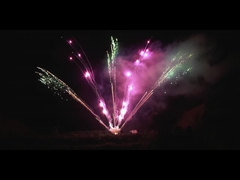 Chinese pyrotechniek buiten 300 schoten Professionele vuurwerk Display 1,3 g Fan-vormig