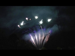 Mandarijn Display 90 Shots Salute Pyrotechniek Professionele cake vuurwerk voor feest