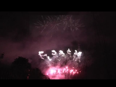 Liuyang 56 Shots Professionele vuurwerk display 1.3g Un0335 Voor feestviering