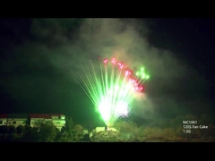 Mandarijn Professionele Pyrotechniek Vuurwerk 130 Schoten Voor Kerstmis