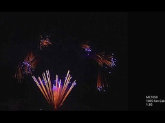 CE 100 150 300 500 600 1000 schoten Professionele cake vuurwerk Aanpasbaar