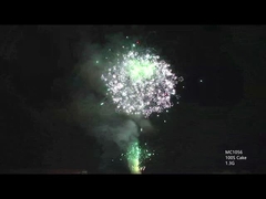 AFSL Aanpasbare 100 schoten Professionele cake vuurwerk voor feestviering