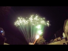 Vertonings Professionele Grote Pyrotechniek 49 het Vuurwerkbegroetingen van de Schotencake