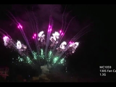 130 schoten Professionele pyrotechniek Vuurwerk AFSL gecertificeerd