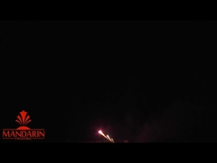 Pyrotechniek Mandarijnse namen van vuurwerk Professionele taart Saluut Pyrotechniek 100 schoten