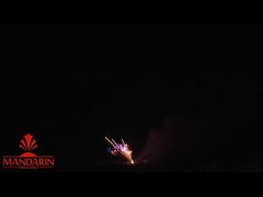 Groeten, professionele vuurwerk 100 schoten Z / Fan Cake Pyrotechniek