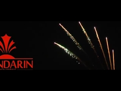 Salute Pyrotechniek Professionele vuurwerk Display 100 schoten 1.3g Un0335