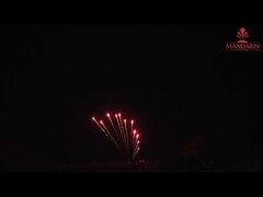 Z-vormige professionele vuurwerk display 11 schoten Single Row OEM pakket