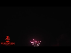 1.3g Un0335 Professionele vuurwerk display / 100 shots Cake vuurwerk voor nieuwjaar