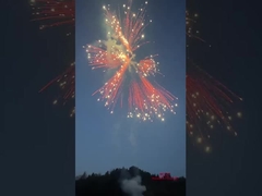 Liuyang Silver Ponytail Fireworks Cakes 2024 Chinese fabriek Firecrackers & Fireworks Consumentencakes