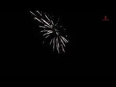 56 Shots Consumenten Taart Vuurwerk 2024 1,4 g UN0336 Voor feest