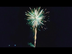 Liuyang Outdoor Big Consumer Cake Fireworks Voor de viering 209 Shots Cake Fireworks