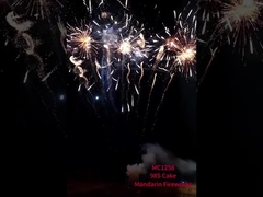 China Pyrotechniek 98 Shots Consumenten Kerstmis Nieuwjaarstaart Vuurwerk & vuurwerk