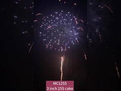 Chinees 25 Shots Cake Fireworks Pyrotechnisch Voor feestbijeenkomsten