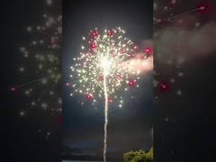 Gepersonaliseerde pyrotechniek Cake Fireworks Salute Voor Nieuwjaar 2023