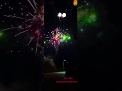 Openlucht 88 de Cakevuurwerk van de Schotenpyrotechniek van China