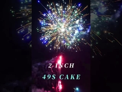 2 duim 49 van de het Vuurwerkpyrotechniek van de Schoten het Chinese Openluchtcake Vuurwerk van de de Begroetingscake