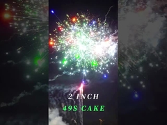 Chinese 2inch 49 Aangepast het Nieuwjaarvuurwerk van de Schoten Pyrotechnic Cake Vuurwerk
