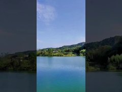 Dag 49 Gekleurd de Rookvuurwerk van de Schoten Chinees Cake Vuurwerk voor Viering