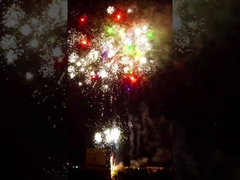 Liuyangpyrotechniek 80 Beroeps van het Vuurwerk de Speciale Gevolgen van de Schoten1.4g Cake