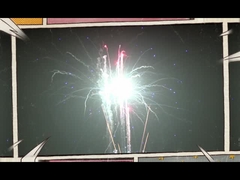 98 de Cakevuurwerk van Schoten Speciaal Gevolgen 2022 Algemeen Marktvuurwerk