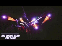 25 Shots Consument Cake Fireworks Fan Shape Pyrotechniek 1.4g Un0336