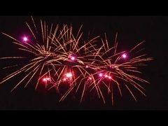 Buiten 20 Shots Viering Taart Pyrotechniek Ventilator Aangepast 1.4g