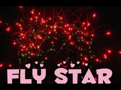 Chinees cake vuurwerk op maat 25 schoten 500G pyrotechniek