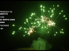 Mandarijn Pyrotechniek Consument Cake Vuurwerk 24 Shots 500g Voor feest