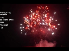 Liuyang 20 Shots 500g aangepaste cake vuurwerk voor nieuwjaar