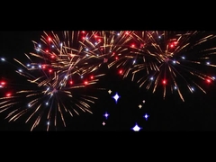 Chinees 25 Shots Fan Cake Fireworks Voor de viering Custom Outdoor Fireworks