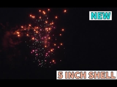 Liuyang Custom Pyrotechnisch Chinees Vuurwerk Buiten 5 Inch Vuurwerk Schelp