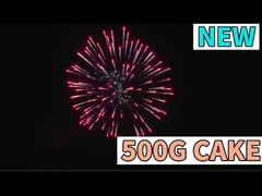 Pyrotechnisch Super Big 500G 9 Shots Cake Vuurwerk Voor de Viering Vuurwerk