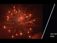 Mandarijn 2021 Nieuwe 16 Shots 200g Cake Vuurwerk Voor Feestfeest