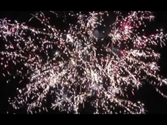 350G Pyrotechnics 36 Shot Cake Fireworks Internationaal Verschepen naar de VS Europa